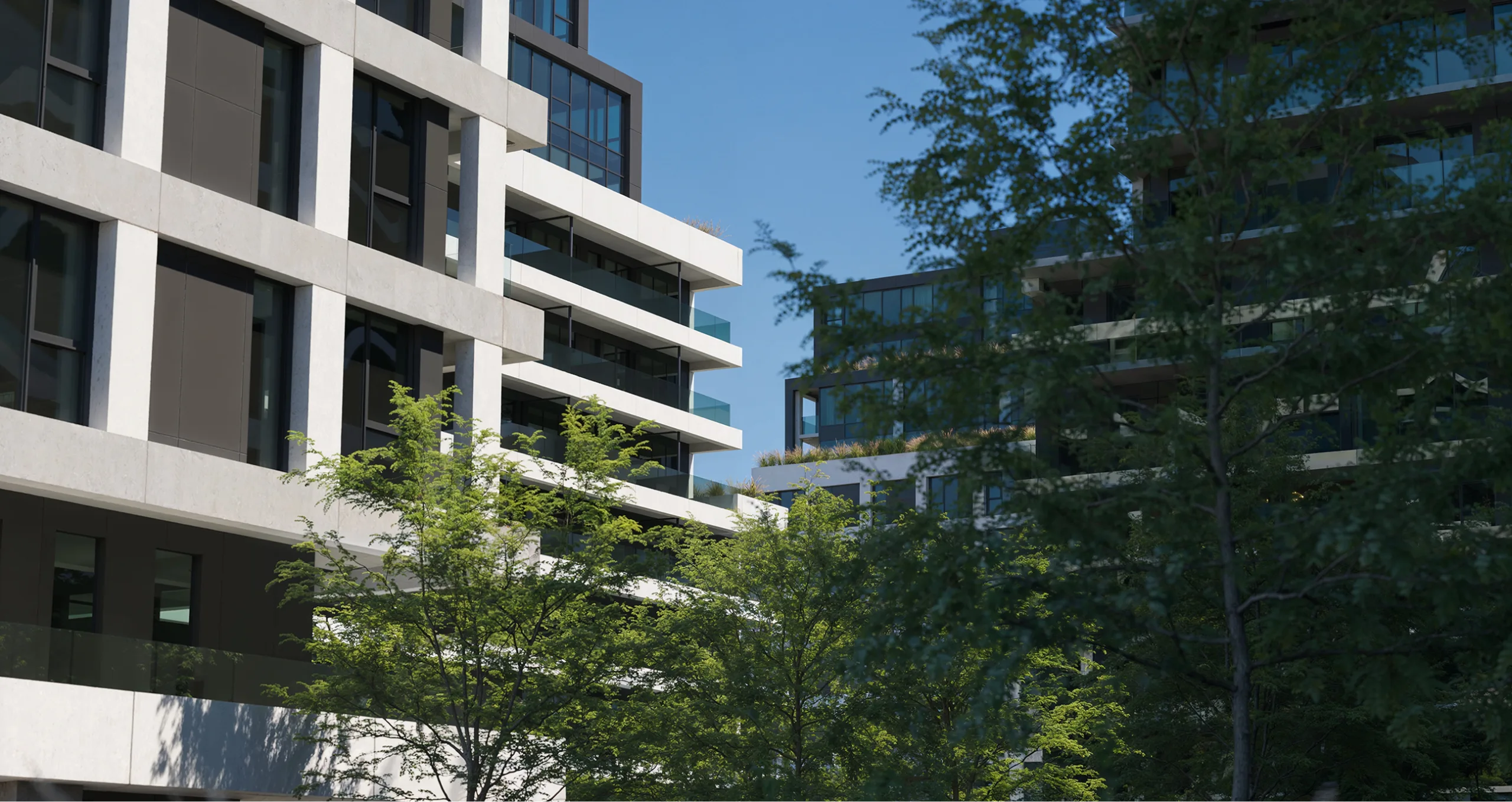 View through the trees of the facade of a modern building.