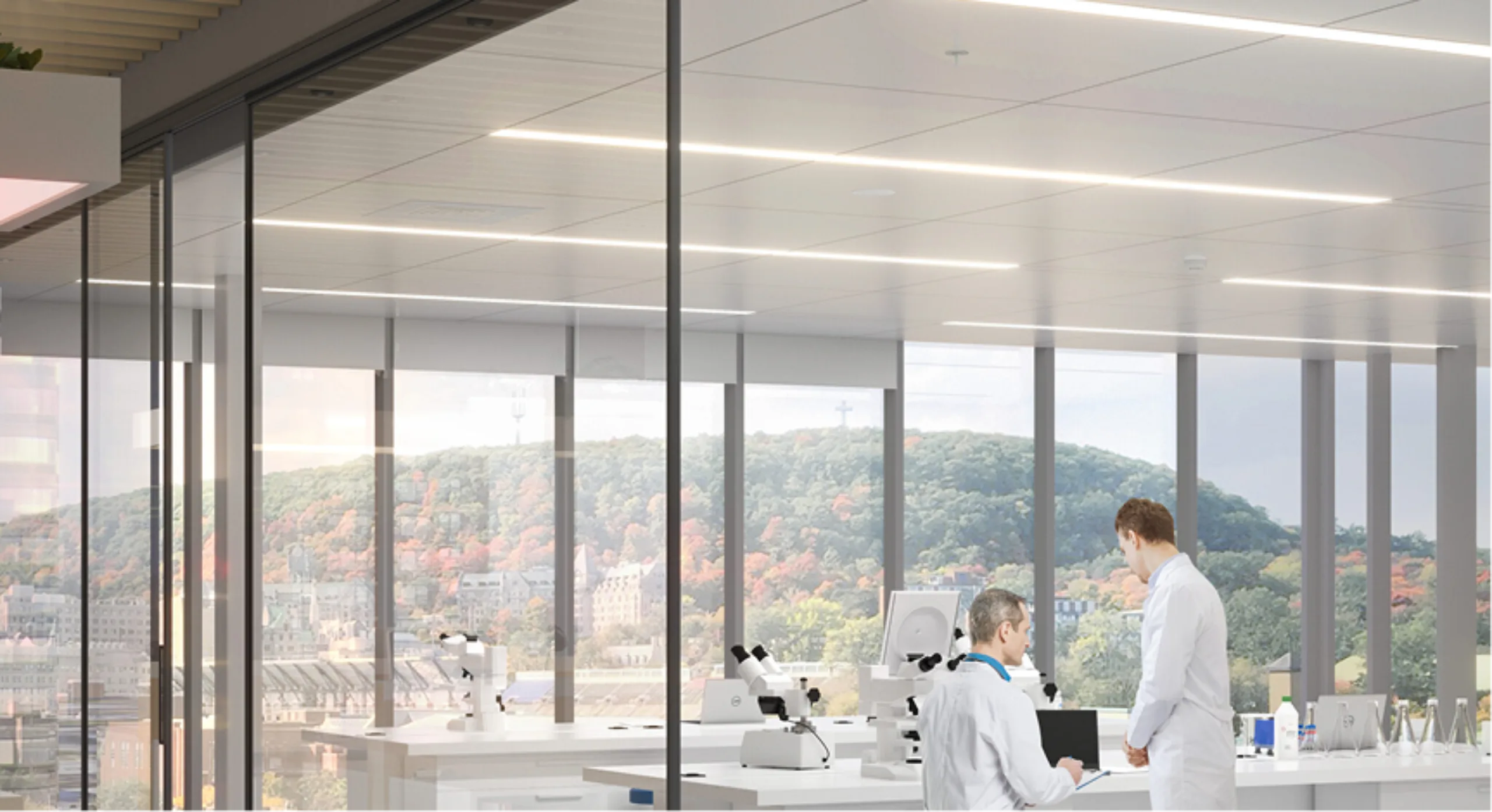 Deux scientifiques dans un bureau