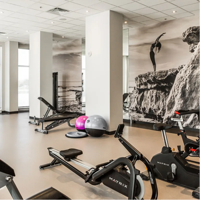 Vue de la salle de gym de Équinoxe - Saint-Elzéar.