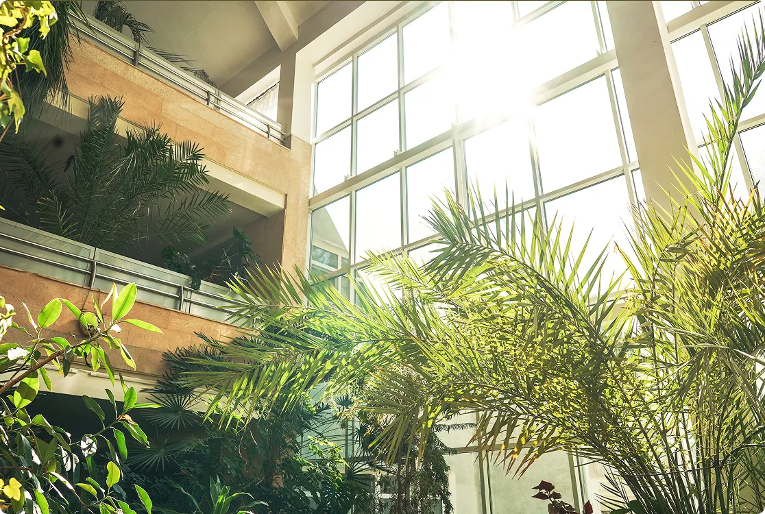 Vue intérieur d'un espace luminueux comportant des arbres.